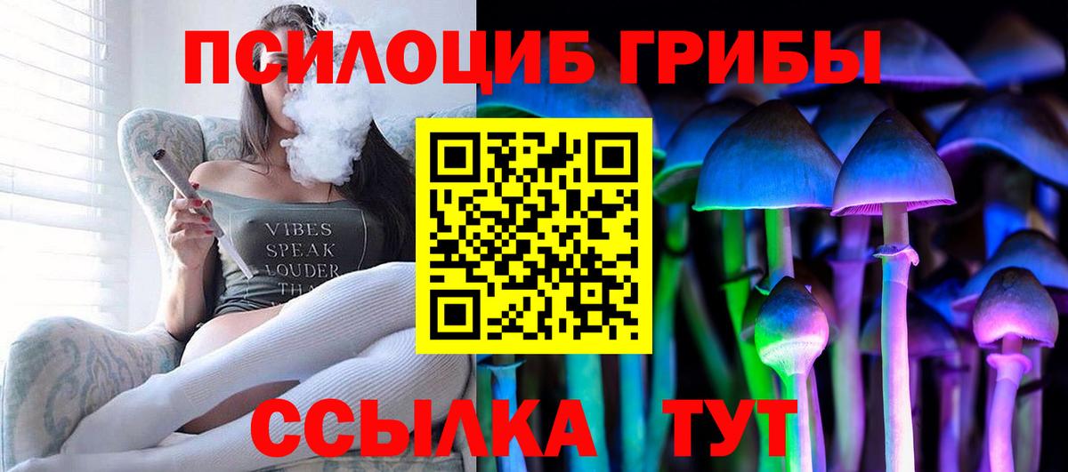 Нефтекамск  Псилоцибиновые грибы ЛСД  Вход с VPN  Псилоцибиновые грибы Psilocybine cubensis 