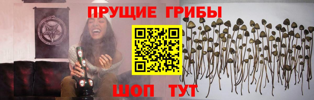 Псилоцибиновые грибы ЛСД Нефтекамск